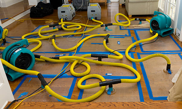 Professional Emergency Water Removal technician working in East Dennis, MA